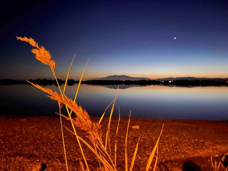 Maisonnette Rdc + Mezzanine Au Bord De L'Etang Лекат Екстер'єр фото